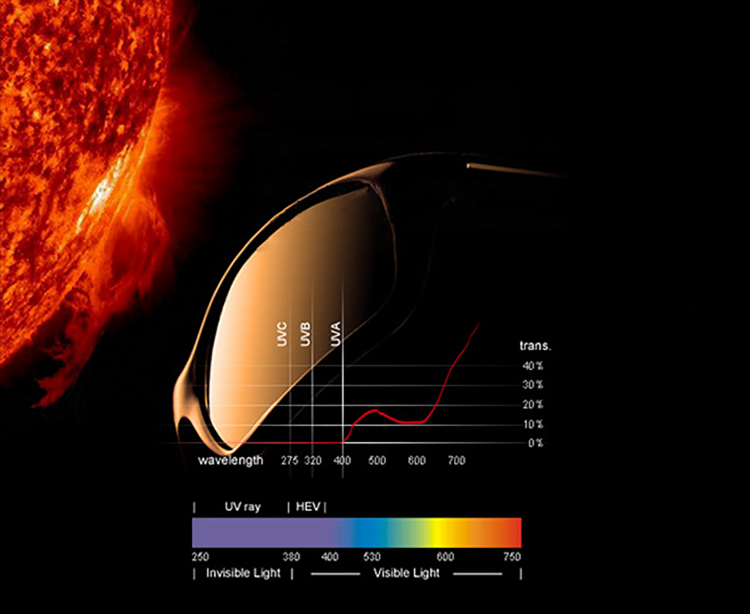 Wohu Optical Polarized