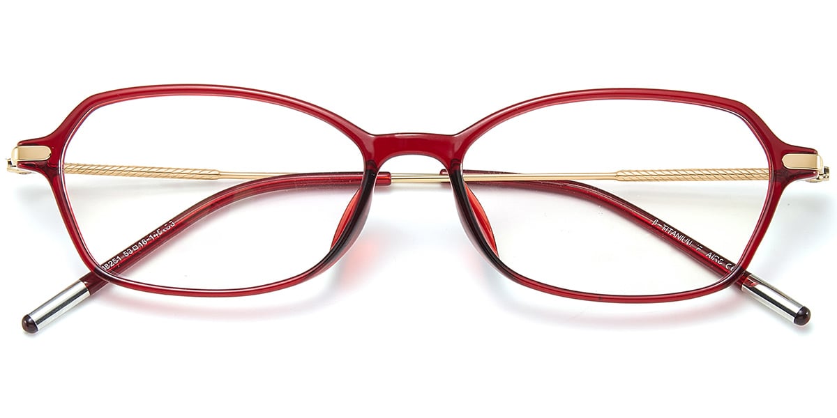 Acetate & Titanium Rectangle Frame translucent-red