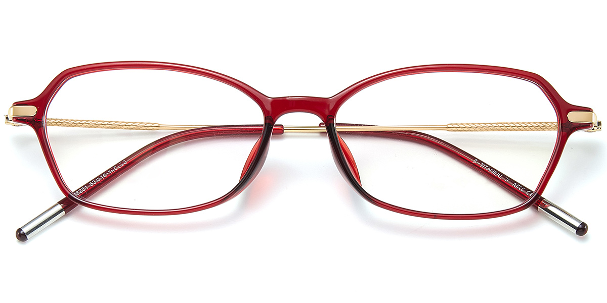 Acetate & Titanium Rectangle Frame translucent-red