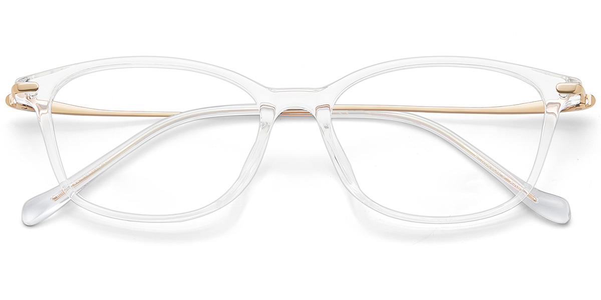 Acetate & Titanium Rectangle Frame F10059