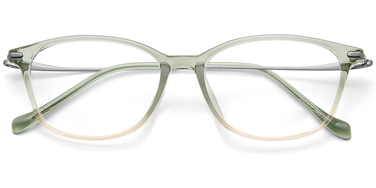 Acetate & Titanium Rectangle Frame F10059
