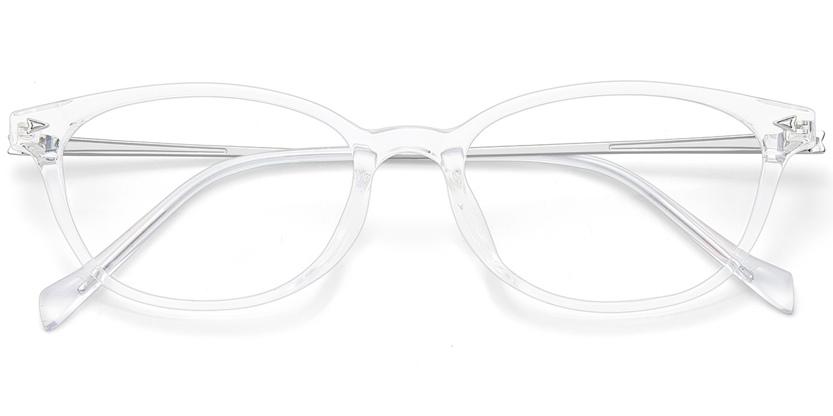 Acetate & Titanium Rectangle Frame F10060