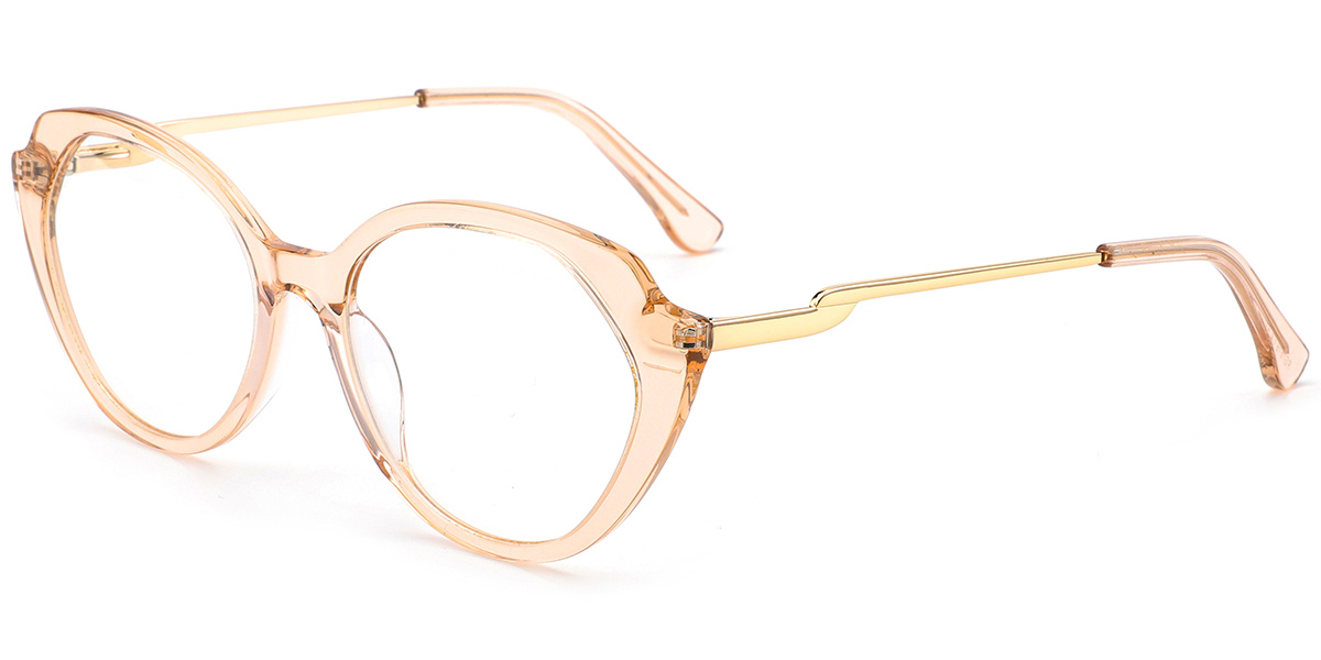 Acetate Geometric Frame F10454