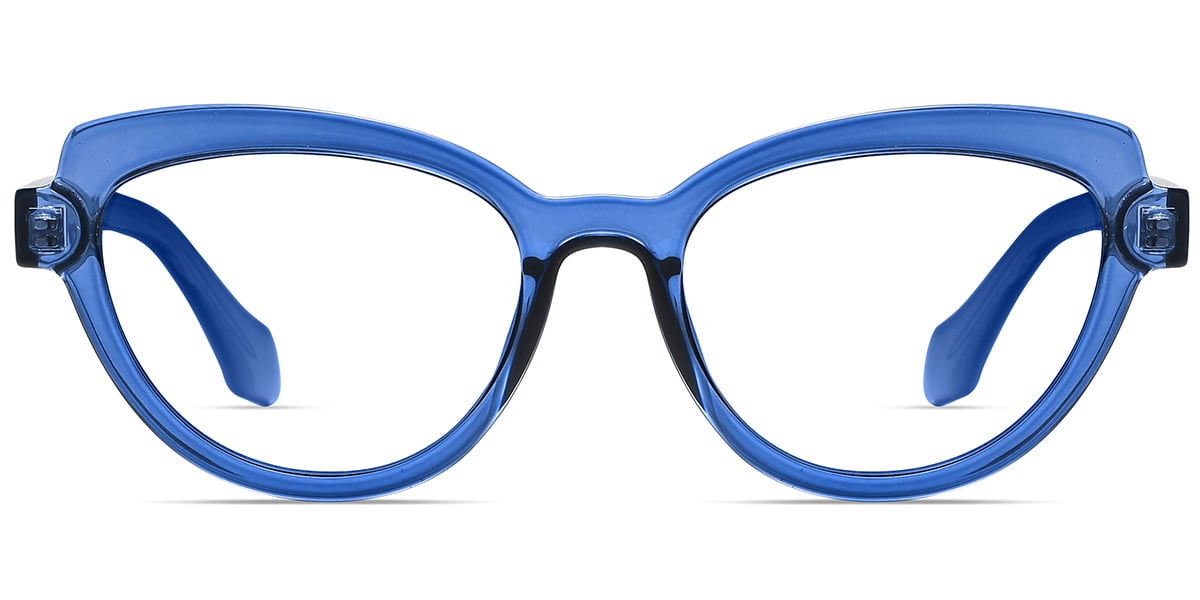 Acetate Cat Eye Frame 