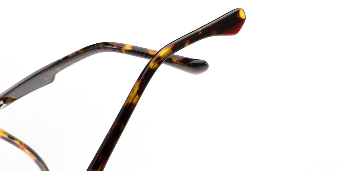 Acetate Geometric Frame pattern-tortoiseshell