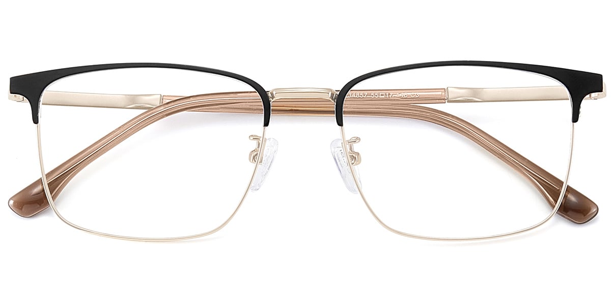 Acetate Aviator Frame F9259