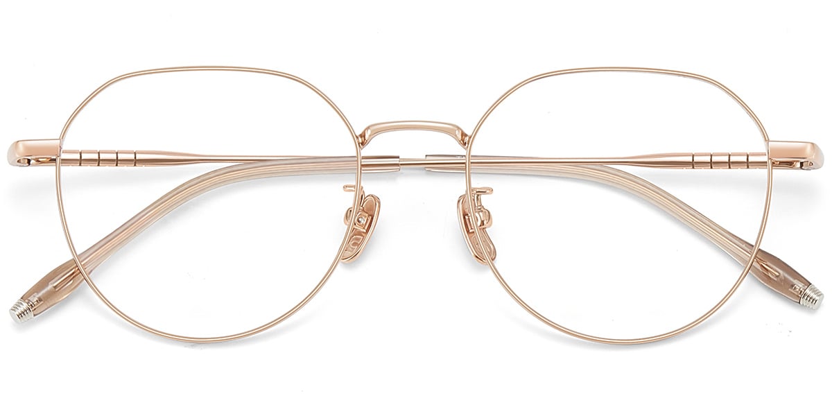 Acetate & Titanium Geometric Frame F9450