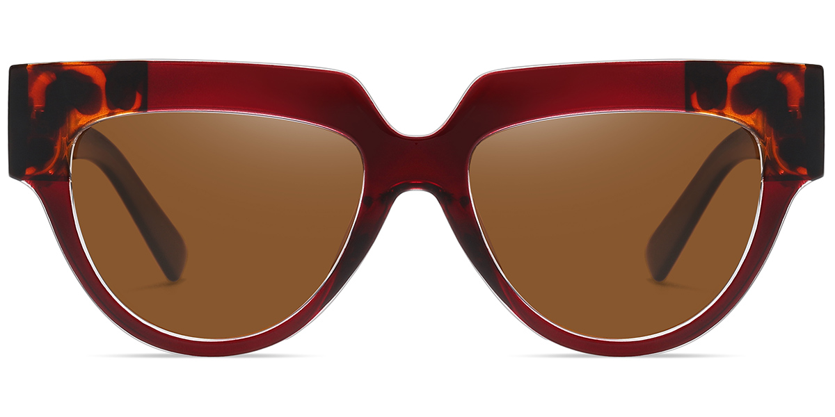 Acetate Geometric Sunglasses 