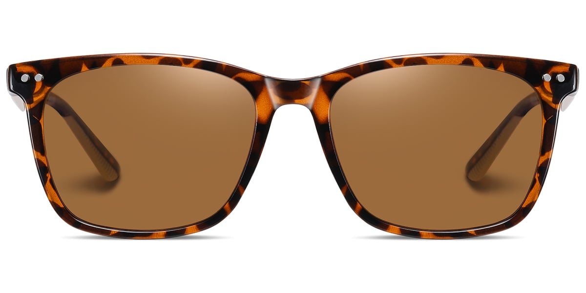 Square Sunglasses SG7278