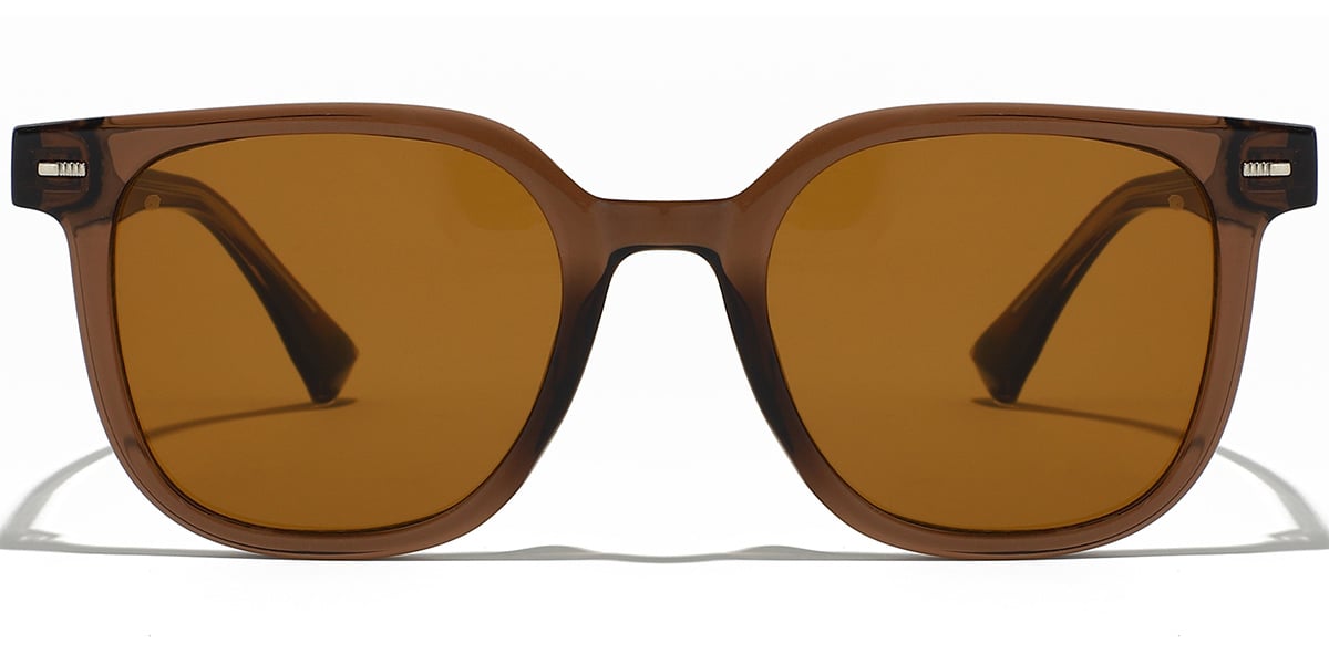 Square Sunglasses SG9386