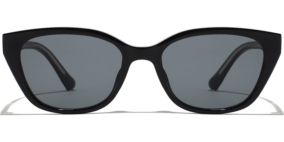Rectangle Sunglasses SG9387