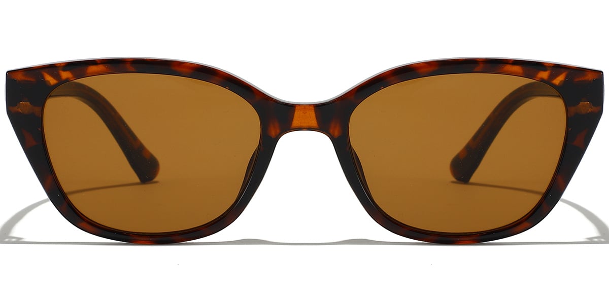 Rectangle Sunglasses SG9387