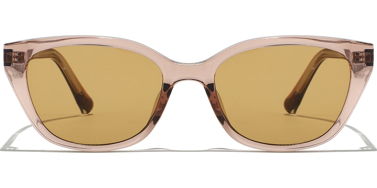 Rectangle Sunglasses SG9387