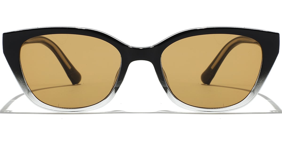 Rectangle Sunglasses SG9387