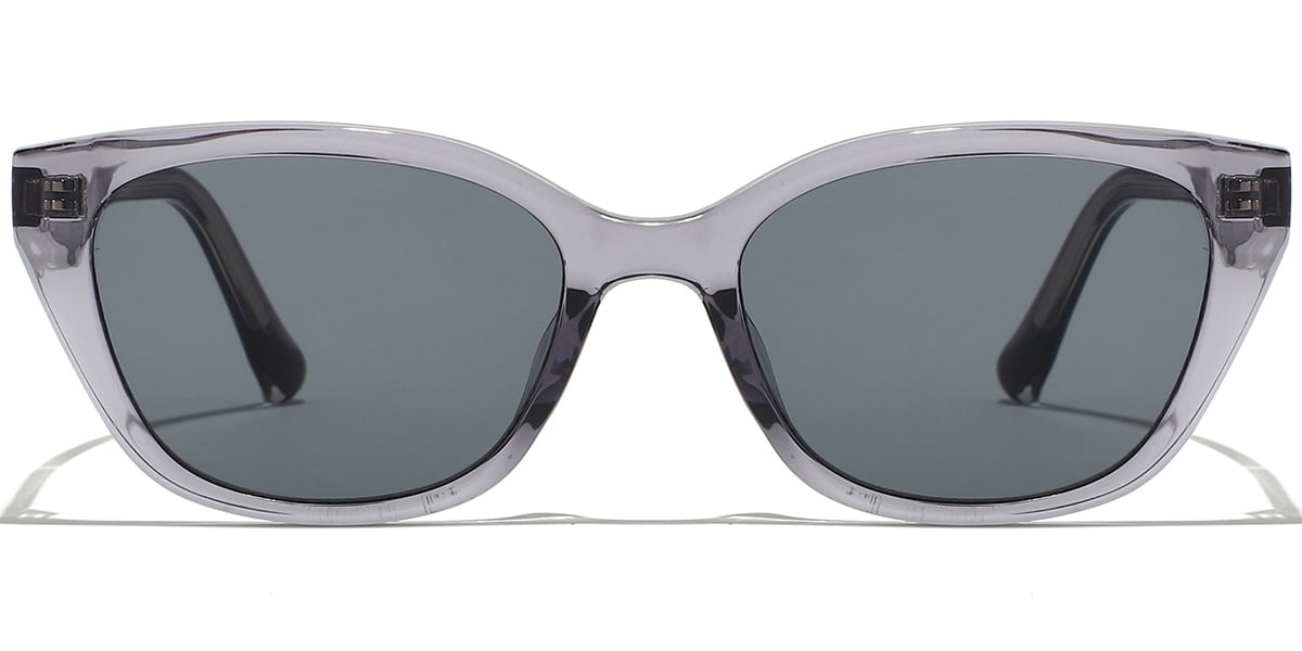 Rectangle Sunglasses SG9387