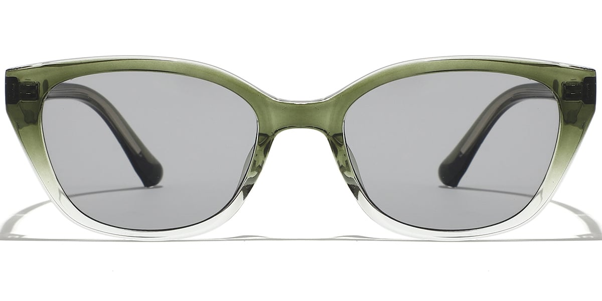 Rectangle Sunglasses SG9387