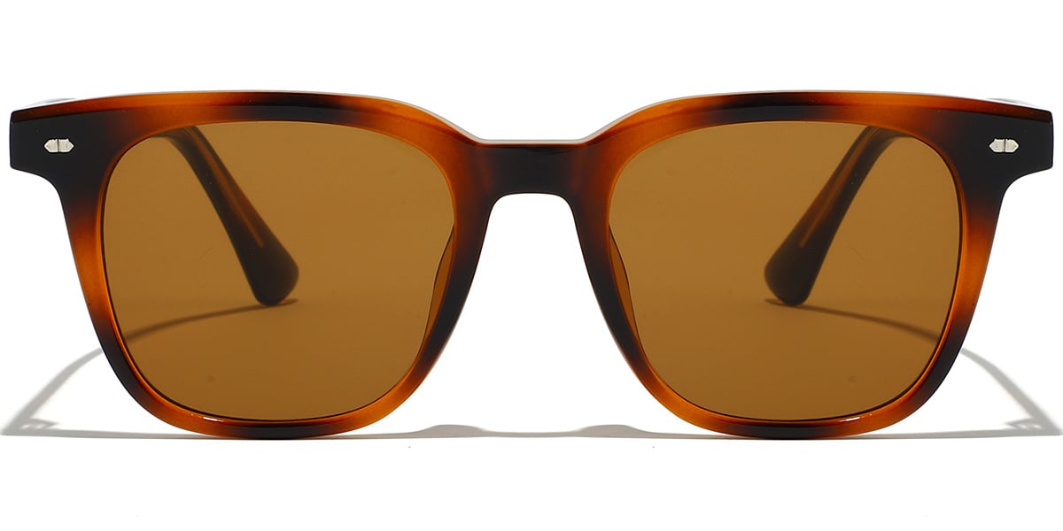 Square Sunglasses SG9389
