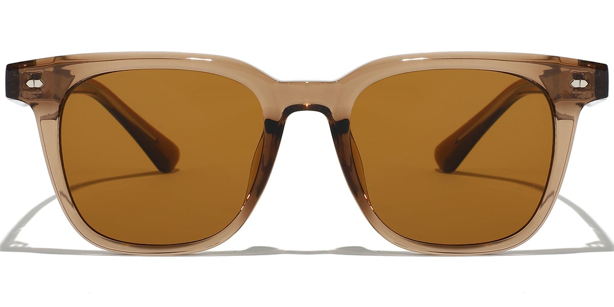 Square Sunglasses SG9389