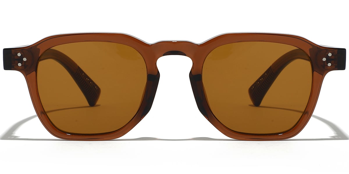 Square Sunglasses SG9393