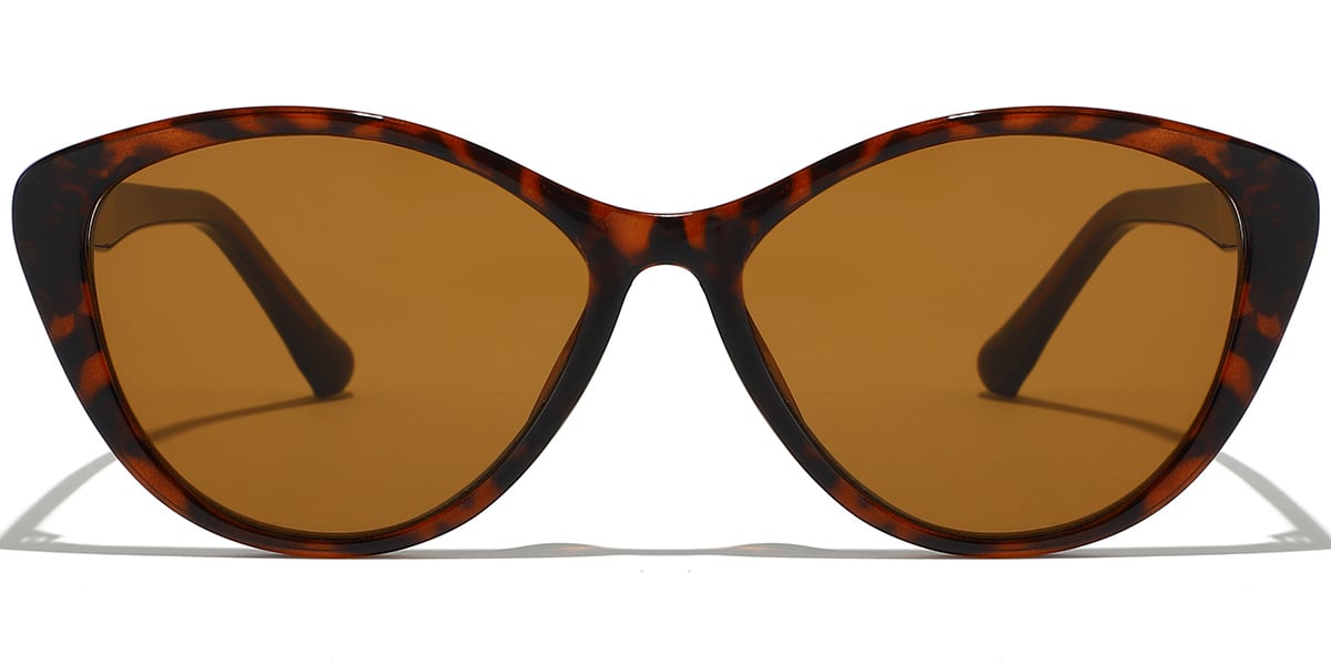 Geometric Sunglasses SG9394