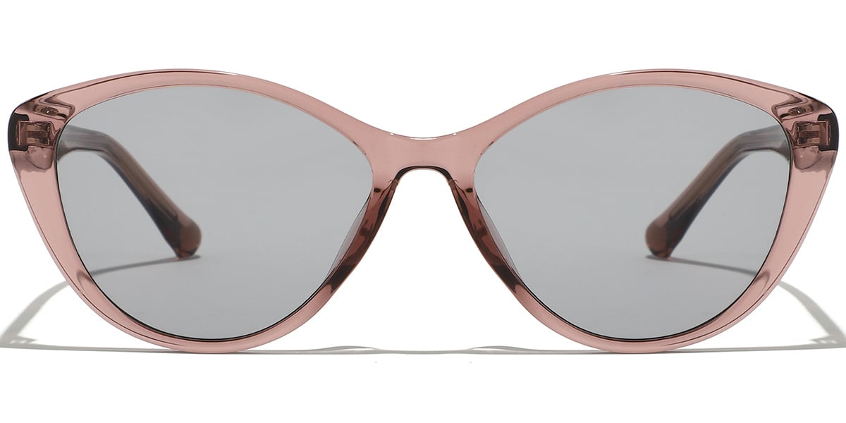 Geometric Sunglasses SG9394