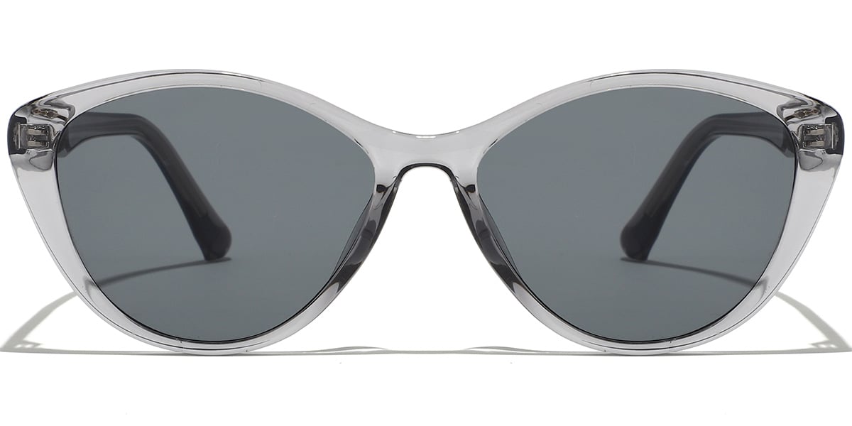 Geometric Sunglasses SG9394