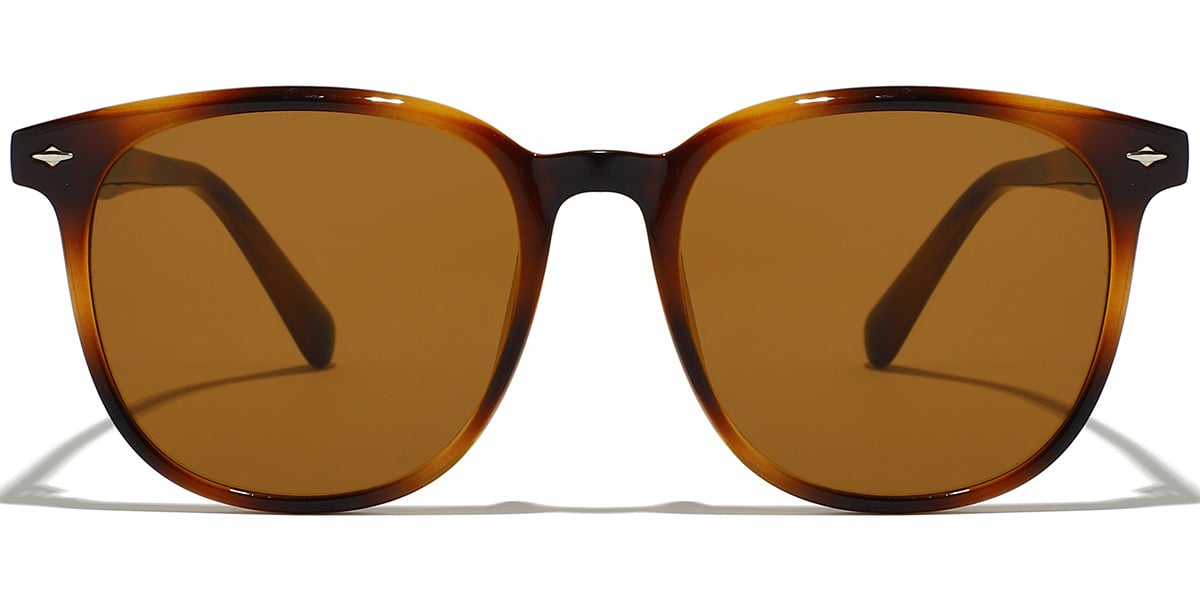 Square Sunglasses SG9395