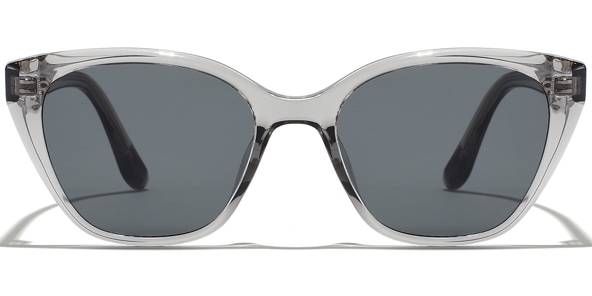 Square Sunglasses SG9399