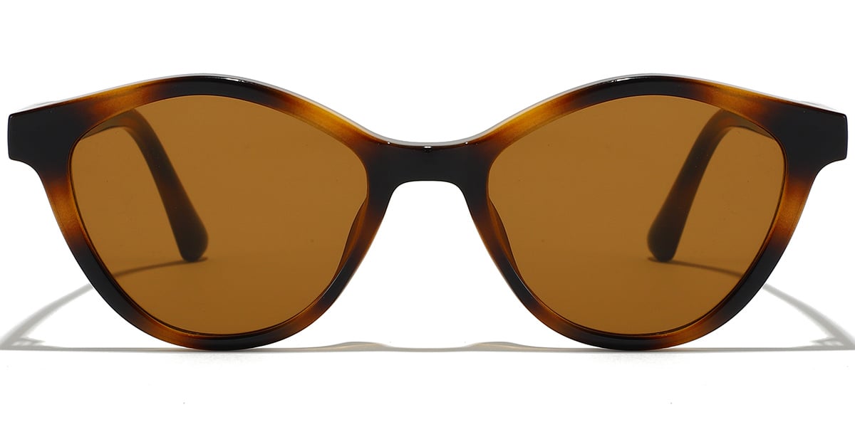 Geometric Sunglasses SG9405