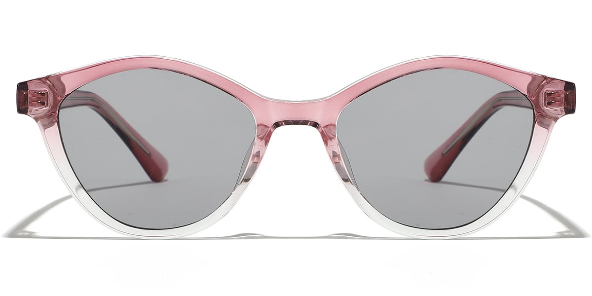 Geometric Sunglasses SG9405