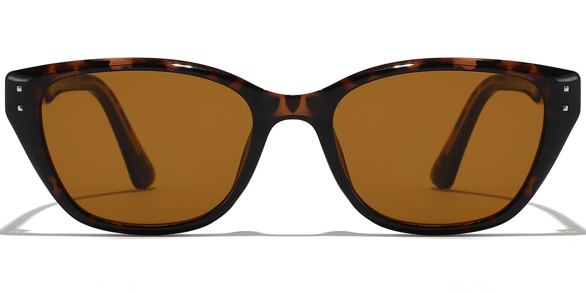 Rectangle Sunglasses SG9406