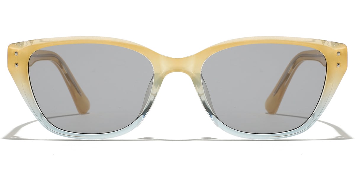 Rectangle Sunglasses SG9406