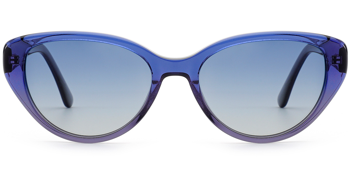 Acetate Geometric Sunglasses SG9458