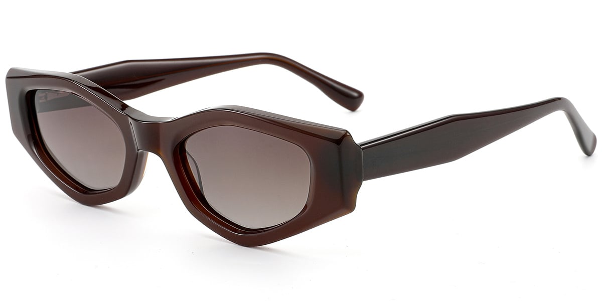Acetate Geometric Sunglasses SG9464